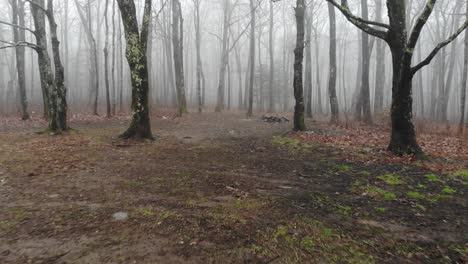 campsite foggy forest fire ring drone spooky winter