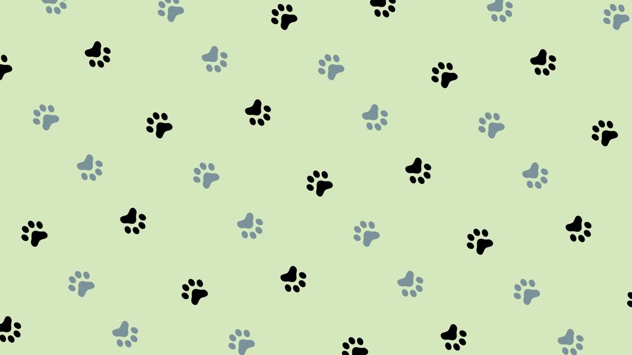 Renkli kedi patisi deseni. Kedi patisi ile kesintisiz desen. Üst görünüm. Köpek, kedi pati izi arka planı. 4K video hareketi.