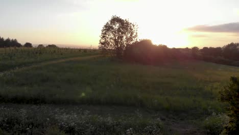 revelación cinematográfica aérea de la espectacular puesta de sol en el campo de yorkshire a través de interminables campos y áreas forestales