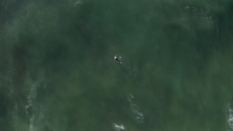 lone surfer paddling out in to the waves of the ocean at zumbujeira, portugal