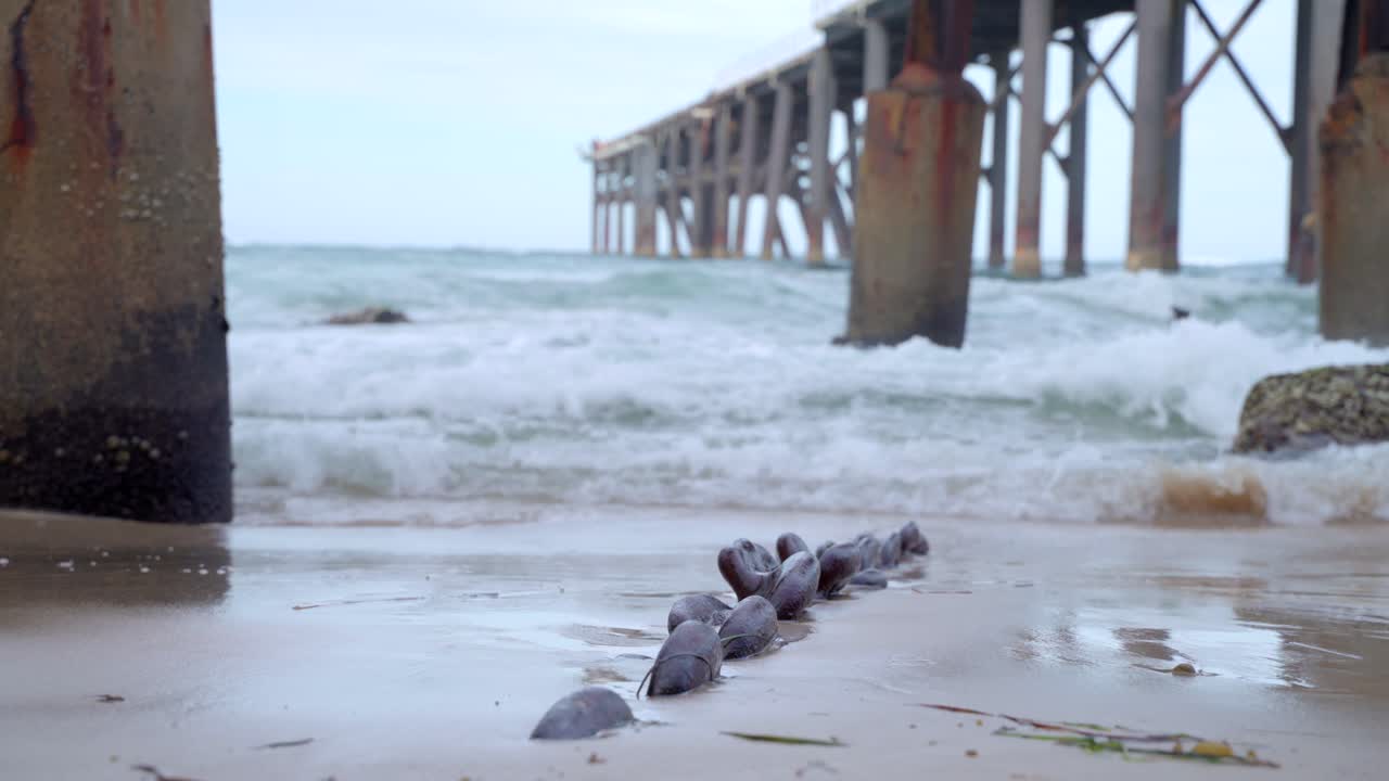 해변에 버려진 오래된 앵커 체인
