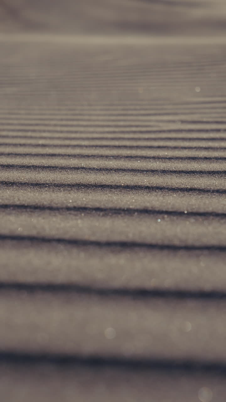 Close-up view of wind-sculpted sand patterns