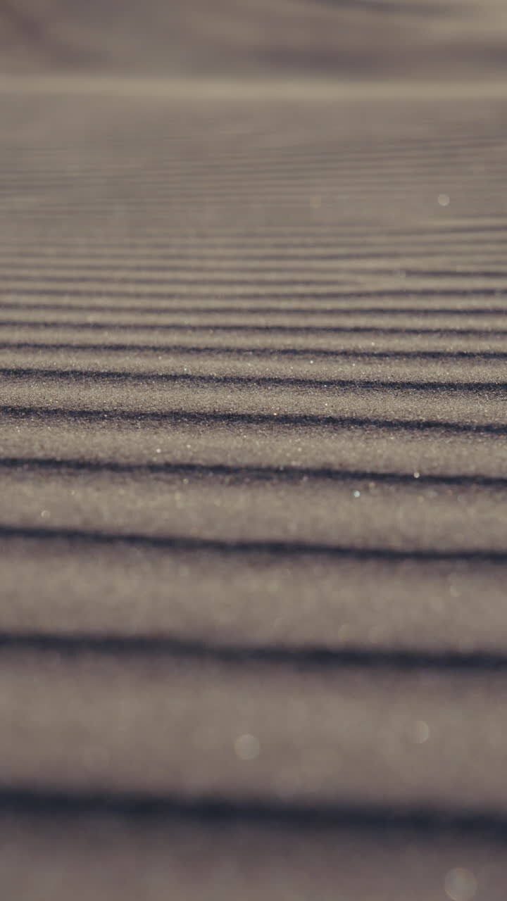 Close-up view of wind-sculpted sand patterns