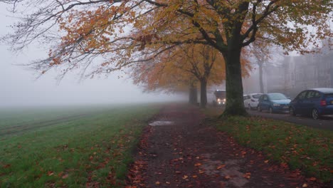 foggy autumnal morning in a residential park, a council vehicle drives by