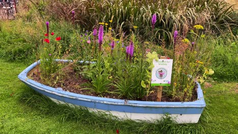 ireland epic locations wild flowers in an old boat project in waterford ireland