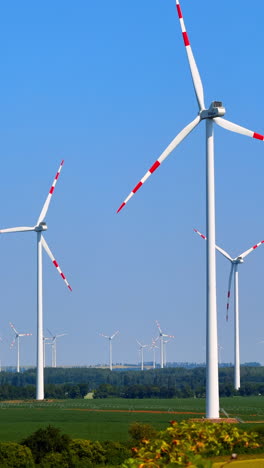 wind turbines spinning in clear blue sky. several wind turbines rotate in a green landscape under a bright blue sky, showcasing renewable energy in action