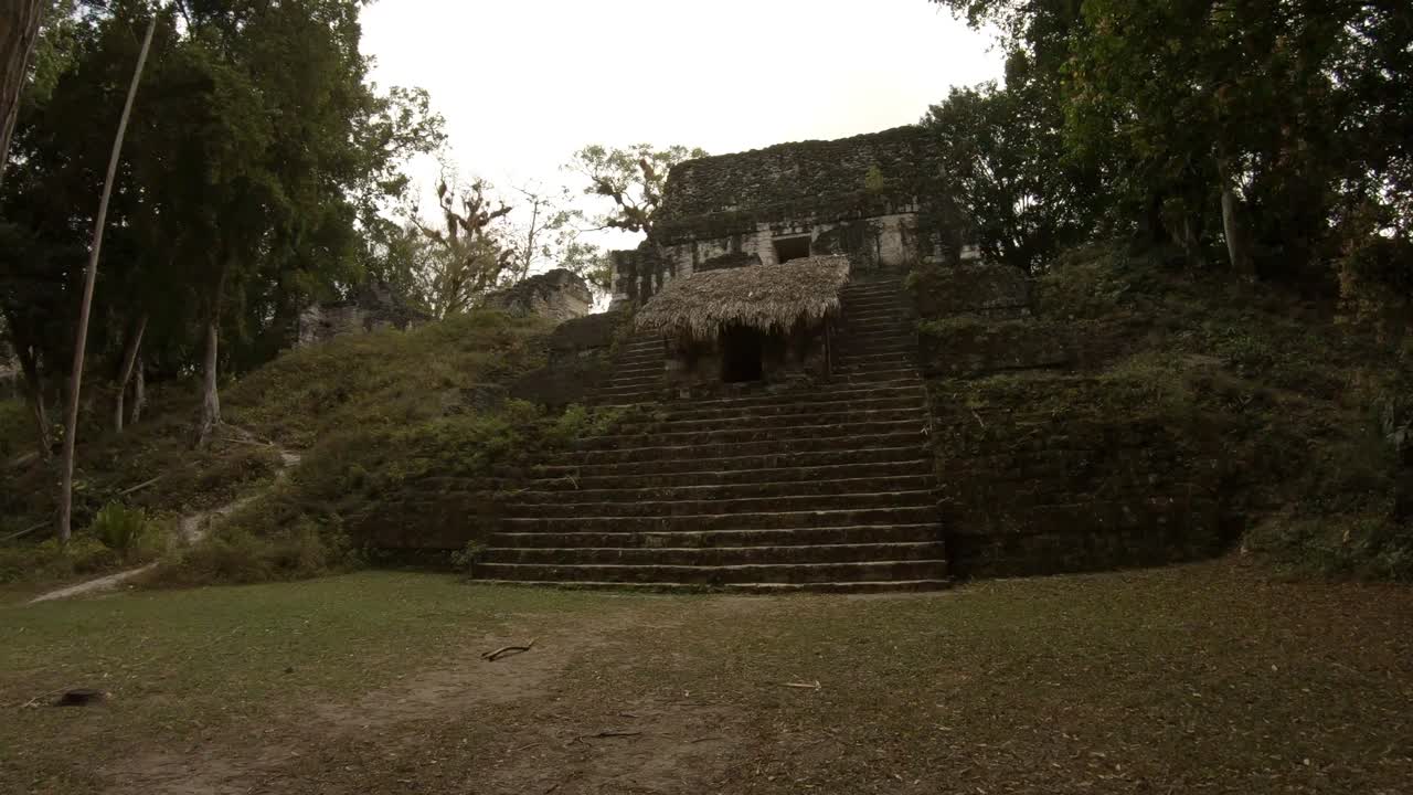 ruinas mayas en tikal en guatemala