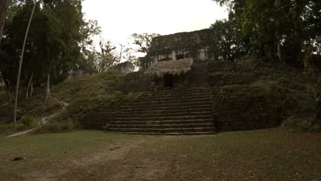 ruinas mayas en tikal en guatemala