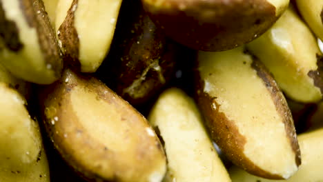 close up of brazil nuts rotating