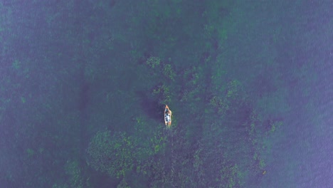 drone vuela sobre el lago starnberg