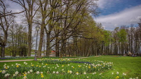 árboles y flores en flor del parque de la mansión pakruojis, vista en lapso de tiempo