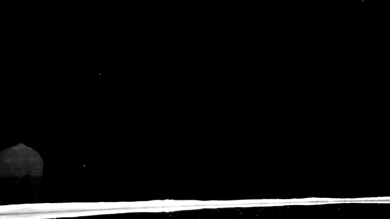 African elephant stroll away from waterhole captured by night sensor camera trap