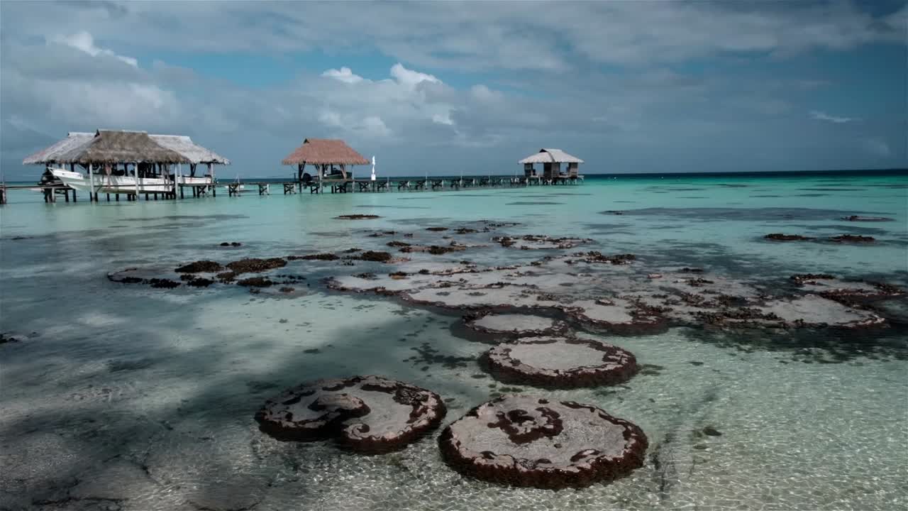 bombas de coral en aguas tropicales cristalinas con un muelle de madera en la parte de atrás en los atolones de tuamoto en la polinesia francesa