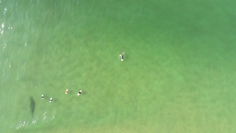 fotografía superior de un surfista acostado en el océano