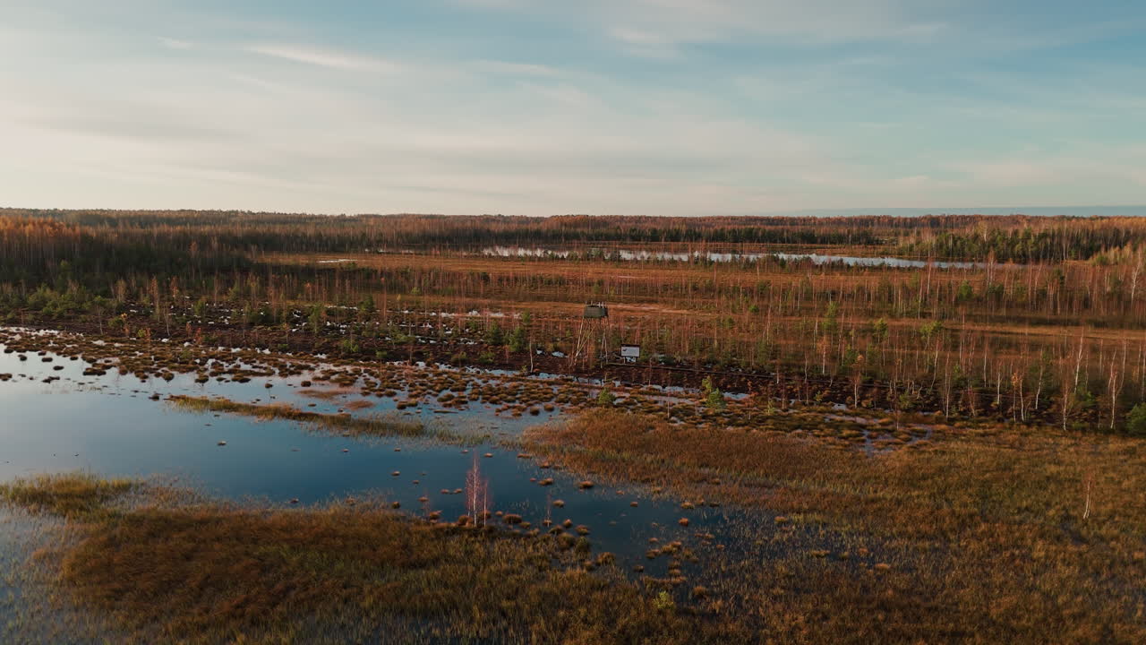 una toma circular de un avión no tripulado captura un lago cubierto de vegetación durante la encantadora hora dorada del otoño.
