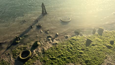 los neumáticos de los coches se encuentran a la orilla del agua, bañados en la luz del sol de ángulo bajo, una representación evocadora del deterioro