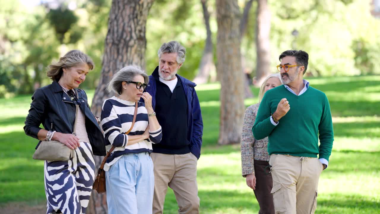 Group of elderly people walking and talking in a park