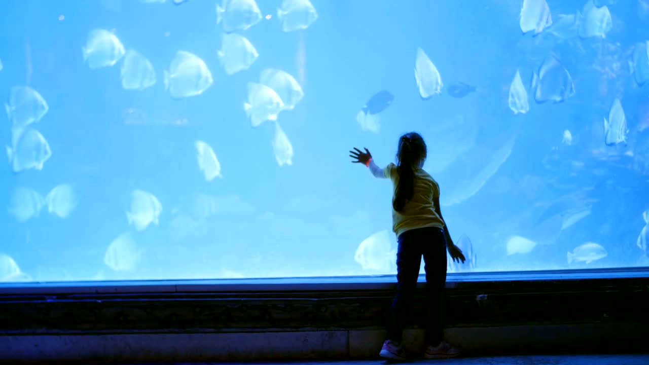 아이는 자신을 둘러싸고 있는 세계를 배니다.