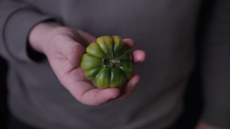 A-man-in-grey-pullover-holds-a-green-tomato-in-hand-in-isolated-background