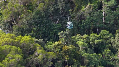 aerial view of a cable car traveling smoothly over dense, sunlit rainforest. the camera tracks the gondola’s movement, highlighting vibrant green foliage and natural landscape