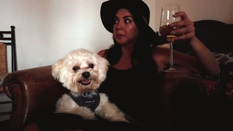 low light shot of female sitting down at a winery, sipping some wine, white dog is on her lap looking around