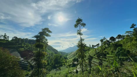 Panoramic-view-of-green-plantation-on-the-valley-and-mountain-on-the-background