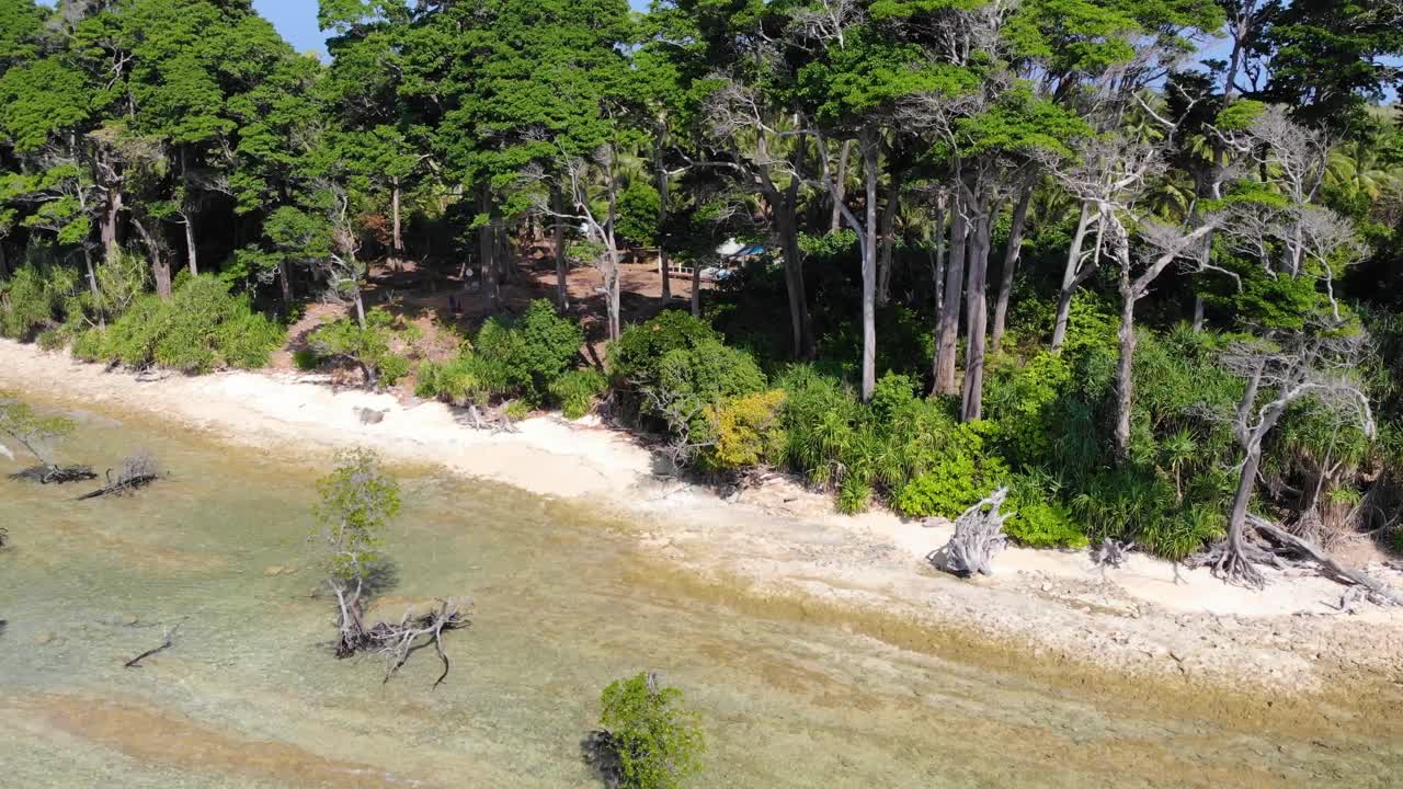 un dron descendiente disparó sobre una playa de andaman con una pequeña casa de huéspedes visible a través de los árboles antiguos y las palmas de coco