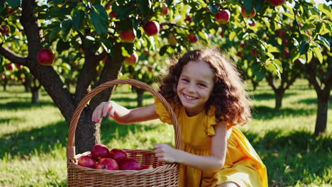 happy child picking apples in an orchard