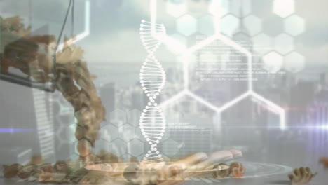 DNA strand with binary coding processing scientific data animation in lab setting