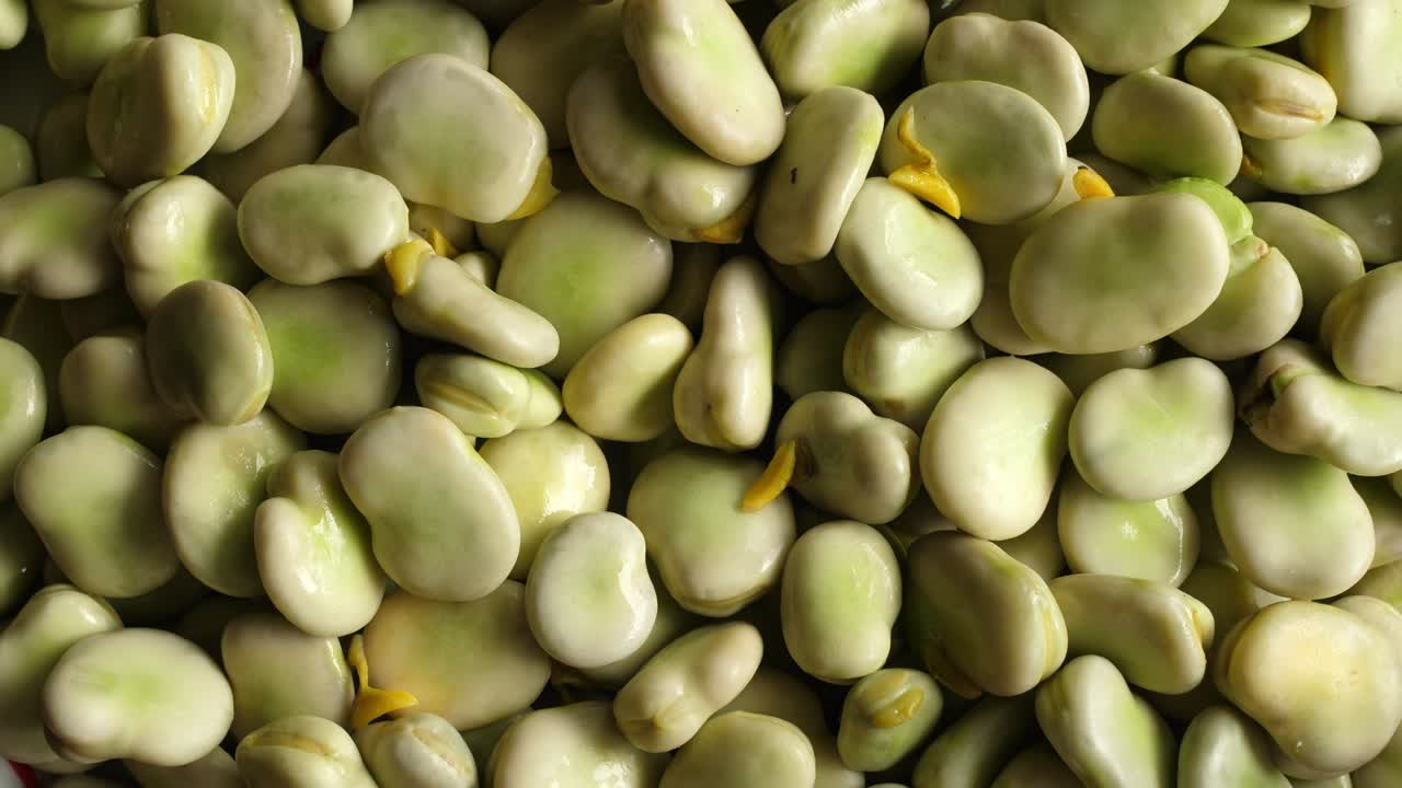 frijoles verdes y frescos girando