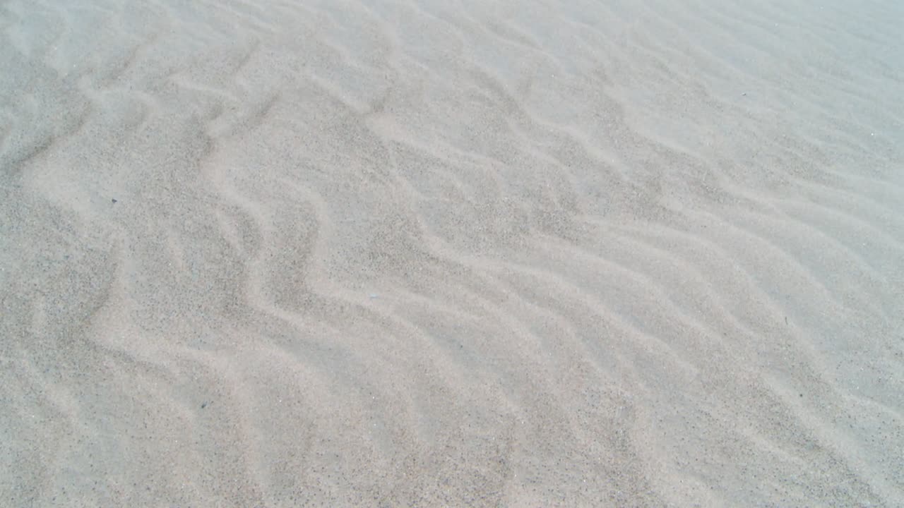 Textured Desert Dunes At Indiana Dunes National Park, United States. High Angle Shot