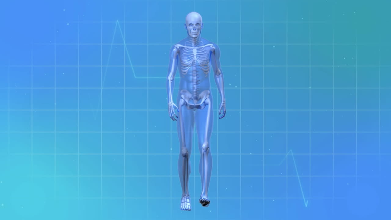 파란색 배경에 심장 사진과 는 골격의 애니메이션