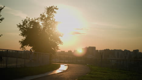 cityscape view at sunset with people walking along path near iron railing, large tree casting shadows, warm sunlight illuminating urban buildings in background