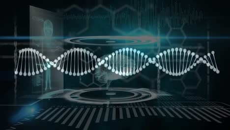 Animation-Des-Menschlichen-Körpers,-Spinnen-Von-DNA-Strängen-Und-Verarbeitung-Medizinischer-Daten