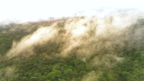 clouds cover the dense tropical forests of Vietnam