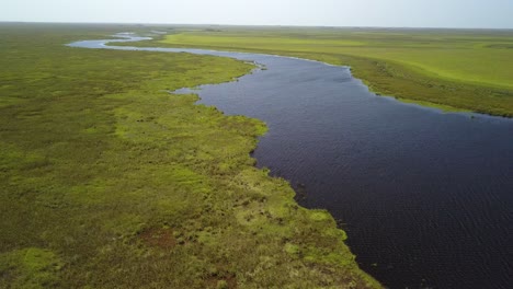 Wetlands-of-northeast-Argentina-shooted-with-drone