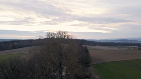 Un-Pequeño-Parche-De-árboles-Y-Arbustos-Mezclados-Dentro-De-Grandes-Campos-Al-Atardecer-En-Alemania