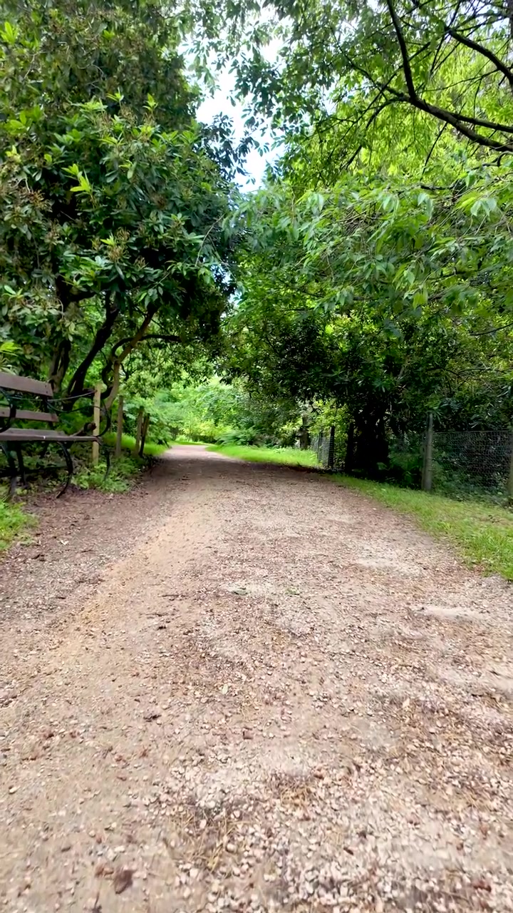 Personal perspective of walking along a gravel path in a lush green park during a relaxing hike. vertical video