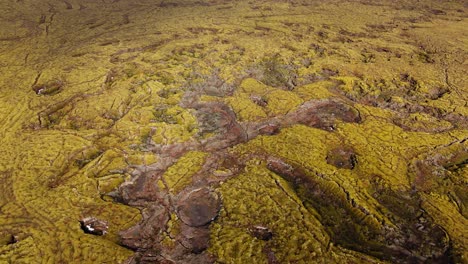 Paisaje-Islandés-Cubierto-De-Musgo-Con-Corrientes-De-Agua-Entrelazadas,-Iluminación-Nublada,-Vista-Aérea