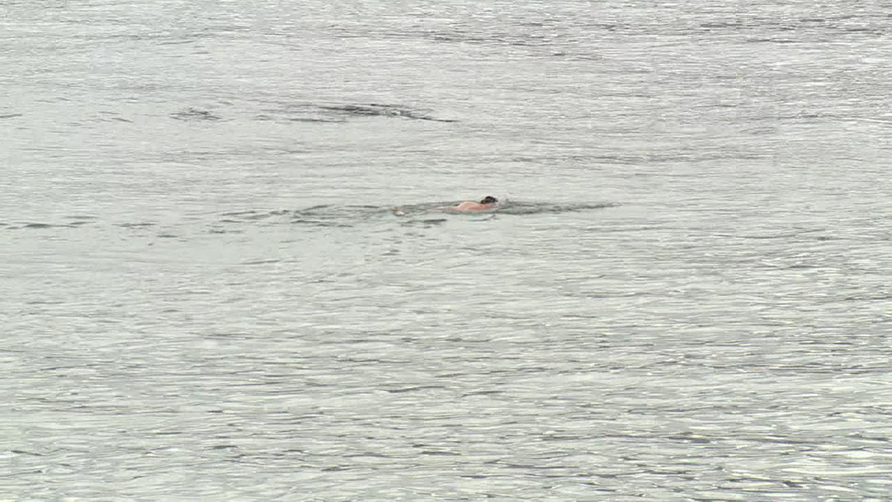 물속에서 수영하는 사람