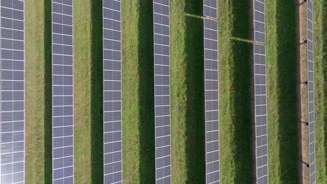Aerial-close-up-top-down-view-of-large-solar-farm-with-many-rows-of-solar-panels-creating-green,-renewable-energy-to-replace-fossil-fuels-and-to-power-clean-transition-to-fight-climate-change