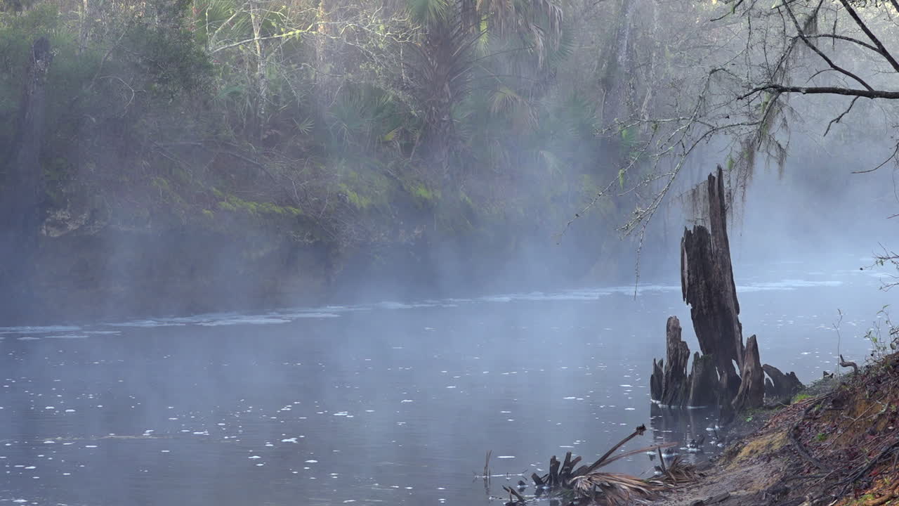 la niebla se eleva en los everglades de florida