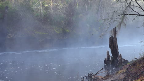 fog rises in the florida everglades