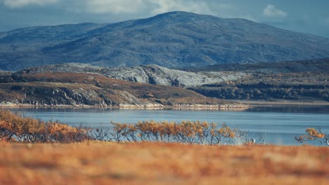 Beautiful-colourful-landscape-of-the-autumn-tundra