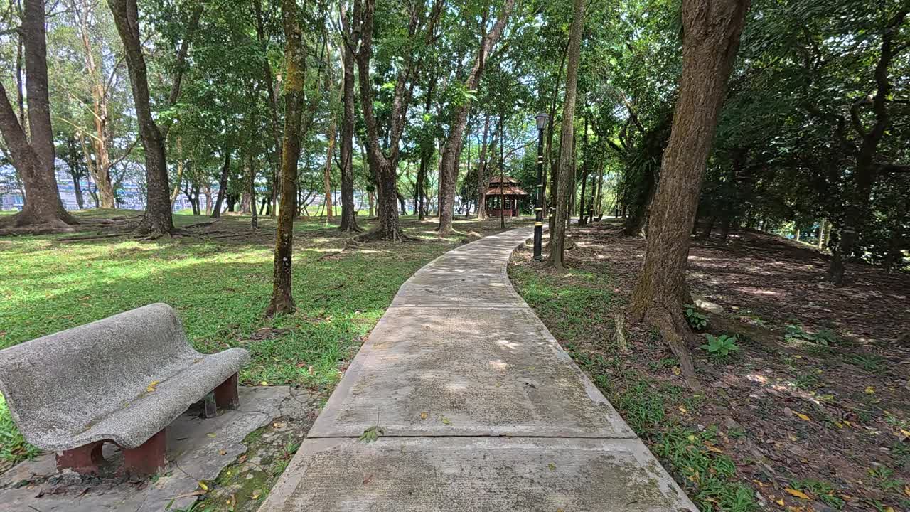 Strolling along a shaded tropical garden path. Tall trees provide a lush canopy. The weather is bright and hot.