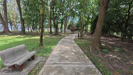strolling along a shaded tropical garden path. tall trees provide a lush canopy. the weather is bright and hot.