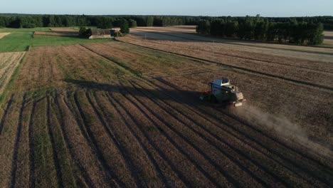 Vista-Aérea-De-La-Máquina-Tractora-De-Cosecha-Que-Trabaja-En-Una-Granja-De-Plantaciones-De-Lupino-Durante-Las-Horas-Doradas