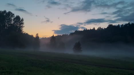 foggy evening nature in green summer scenic countryside