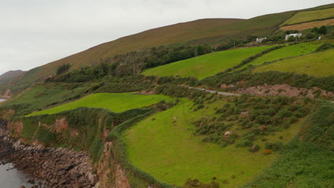 Tracking-of-car-driving-on-coastal-road-above-rocky-cliffs-on-sea-coast.-Grass-slope-with-meadows-and-pastures.-Ireland