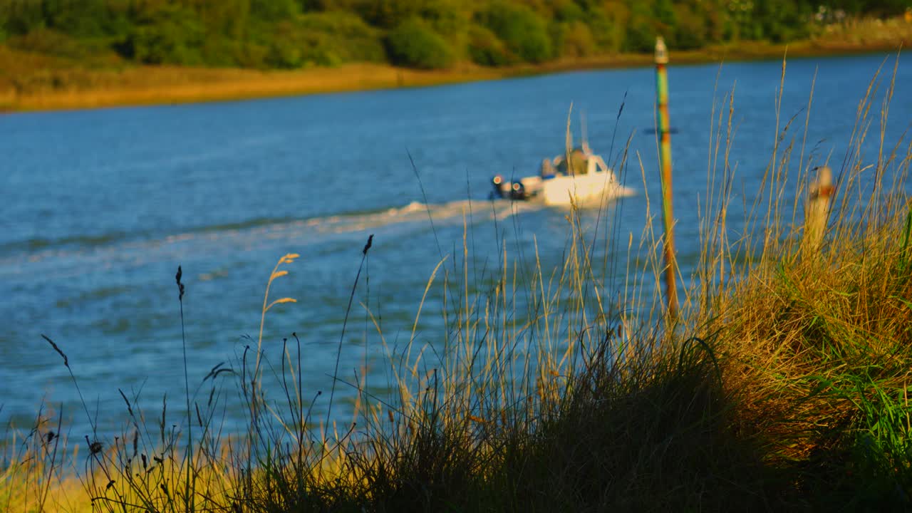 Fiskerbåd vender tilbage fra fisketur på havet med langt græs på bredden. Udendørs klip af naturen om morgenen. Fangst af mad til salg på det åbne fiskemarked.